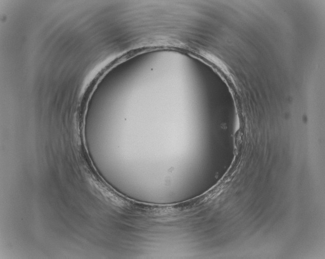 X0000077331120200611171800