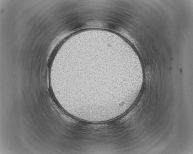 X0000077331123200611171800