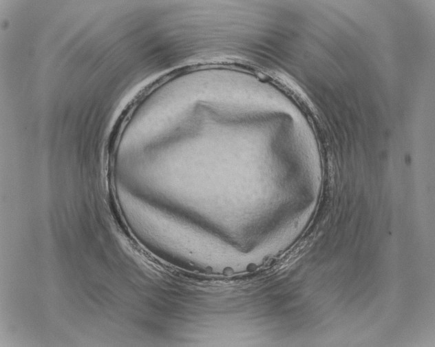 X0000077331124200611171800