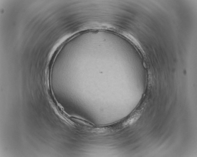 X0000077331128200611171801