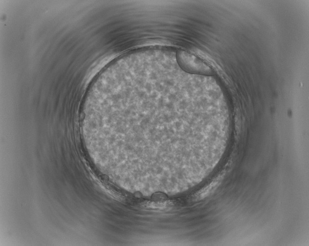 X0000077331129200611171801