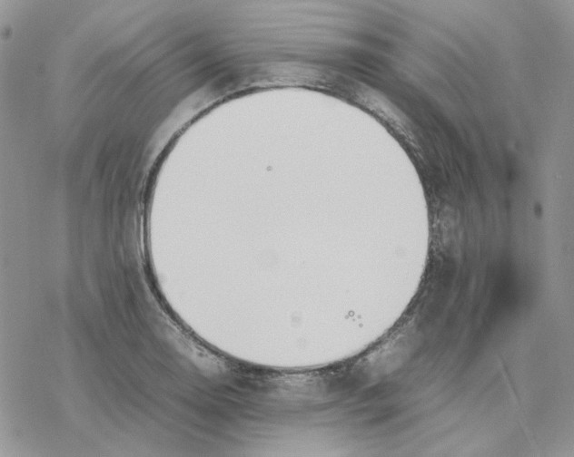 X0000077331130200611171801