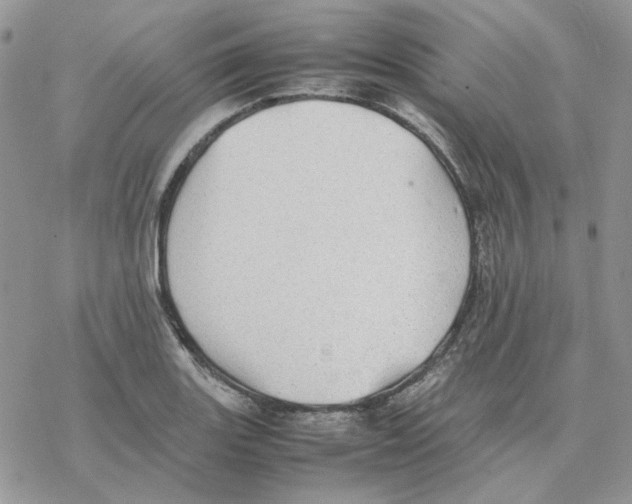 X0000077331131200611171801