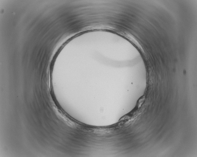 X0000077331132200611171801