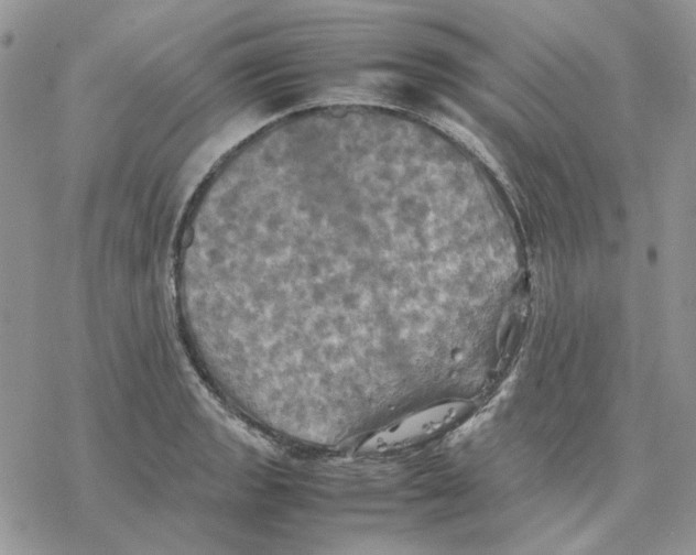 X0000077331133200611171801