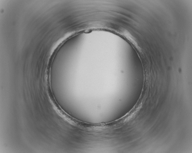 X0000077331134200611171801