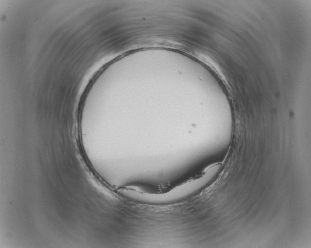 X0000077331136200611171801