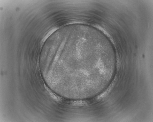 X0000077331137200611171801