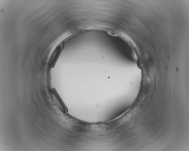 X0000077331138200611171801