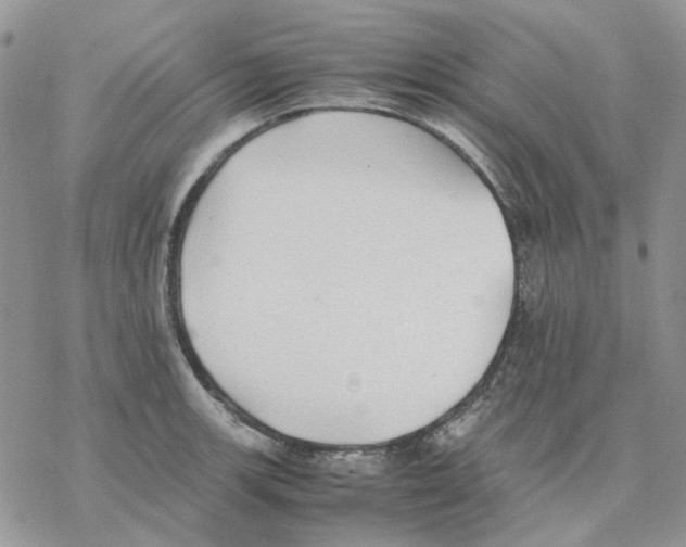 X0000077331139200611171801