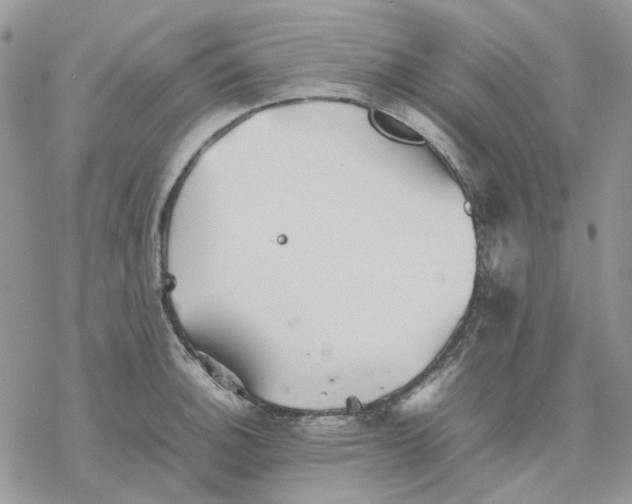 X0000077331140200611171801