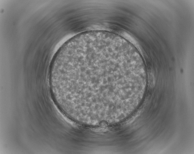 X0000077331141200611171801