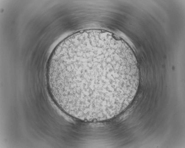 X0000077331142200611171801