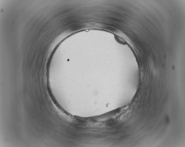 X0000077331143200611171801