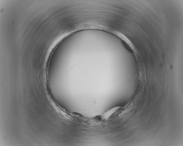 X0000077331144200611171801