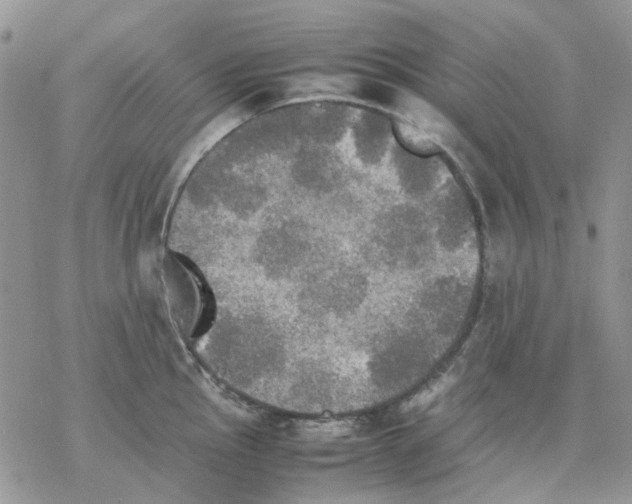 X0000077331145200611171801