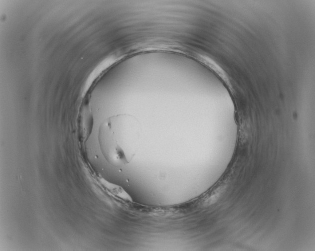 X0000077331146200611171801