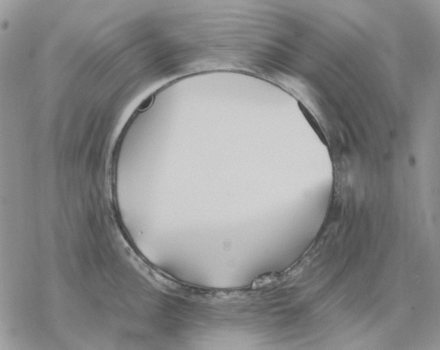 X0000077331148200611171801