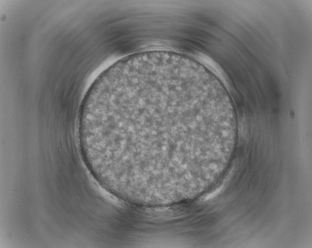 X0000077331149200611171801