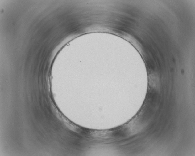 X0000077331150200611171801