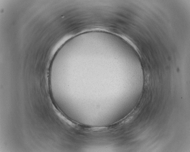 X0000077331151200611171801