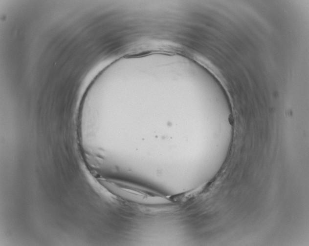 X0000077331152200611171801