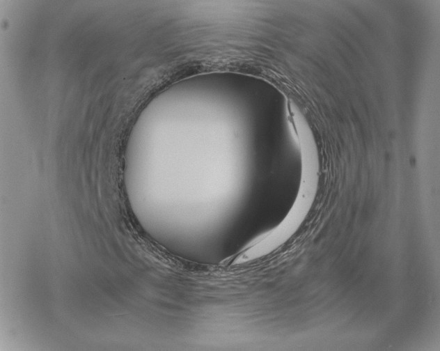 X0000077331153200611171800