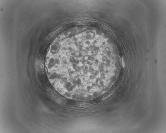 X0000077331155200611171800