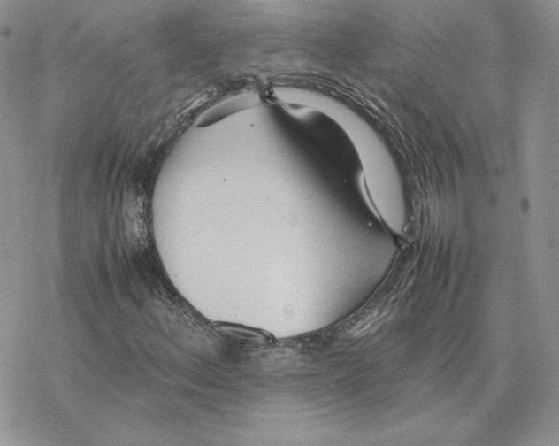 X0000077331156200611171800