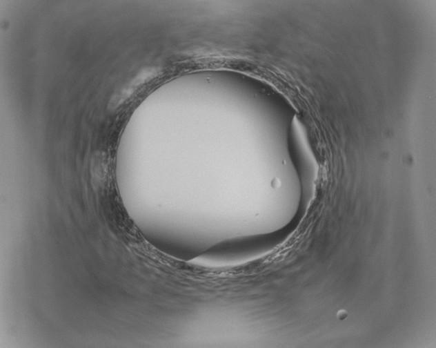 X0000077331157200611171800