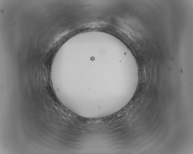 X0000077331158200611171800