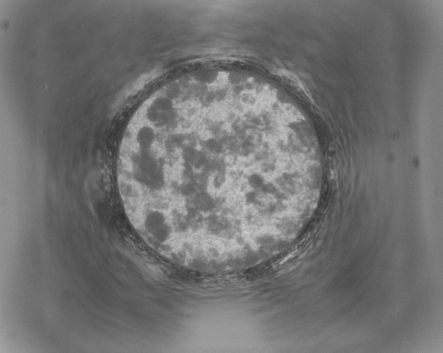 X0000077331159200611171800