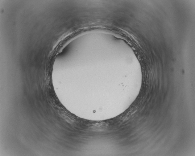 X0000077331160200611171800