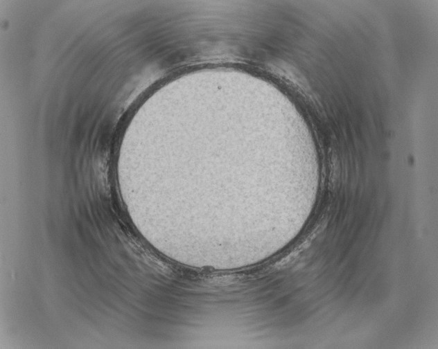 X0000077331162200611171800