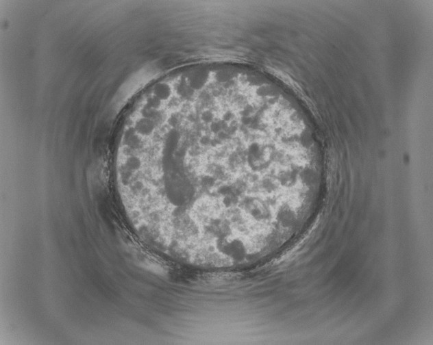 X0000077331163200611171800