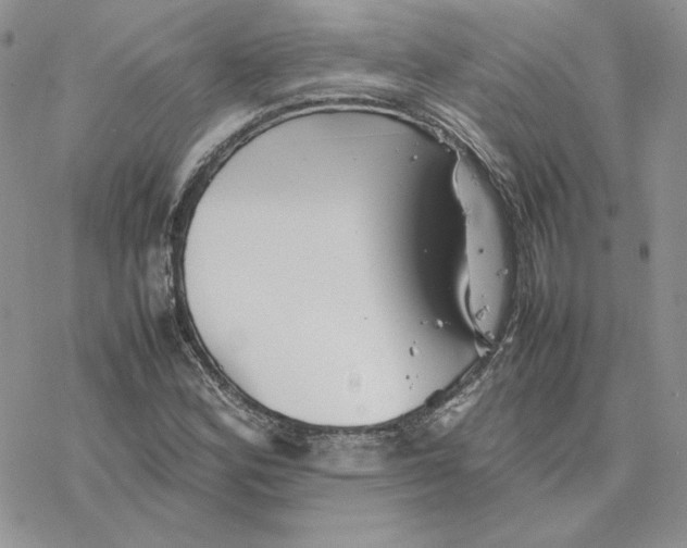 X0000077331164200611171800