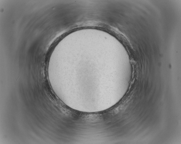 X0000077331166200611171800