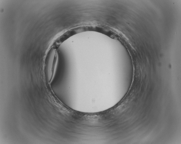 X0000077331168200611171800