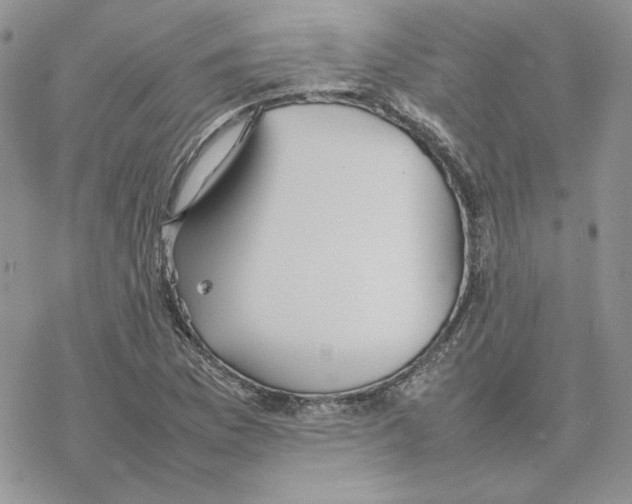 X0000077331169200611171800