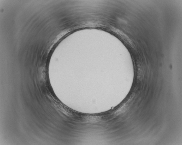 X0000077331170200611171800