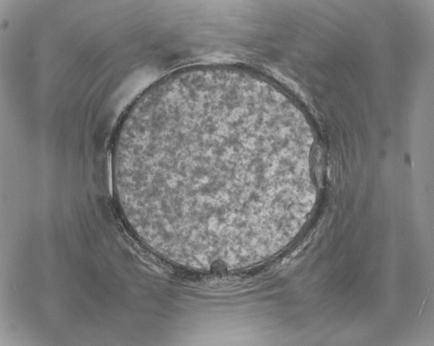 X0000077331171200611171800