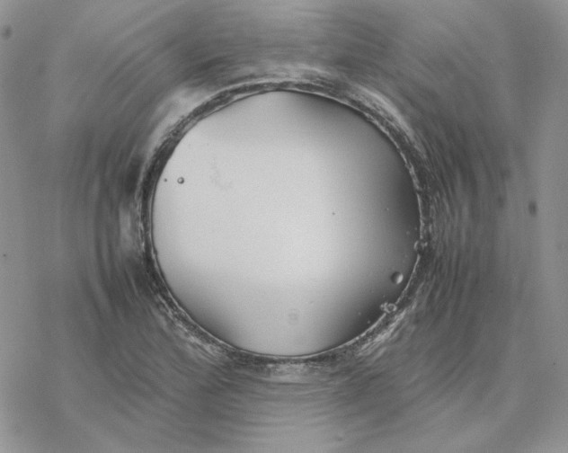 X0000077331172200611171800