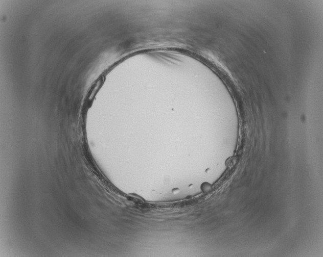 X0000077331173200611171800