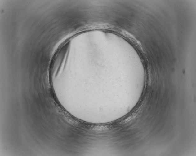 X0000077331174200611171800