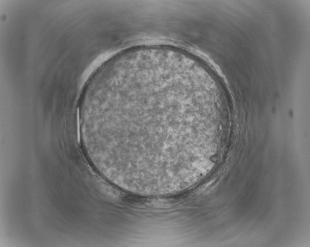 X0000077331175200611171800