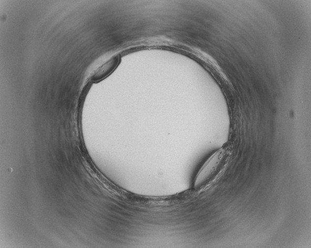 X0000077331176200611171800