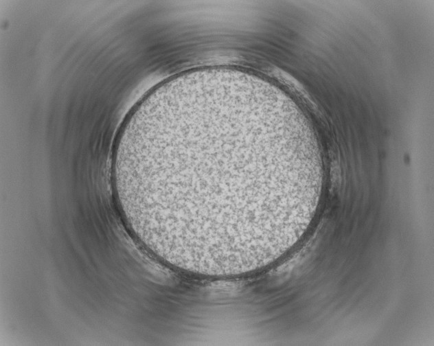 X0000077331178200611171800