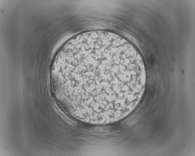 X0000077331179200611171800