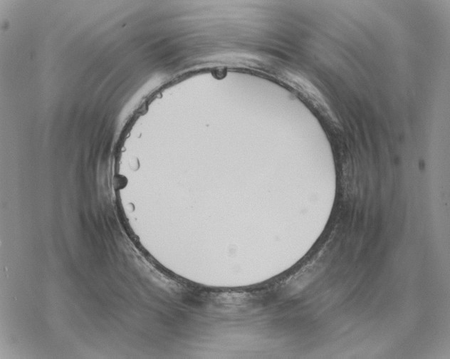 X0000077331180200611171800