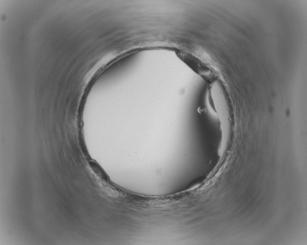 X0000077331181200611171800